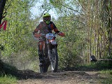 MDV_5539