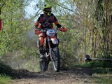 MDV_5540