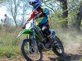 MDV_5544