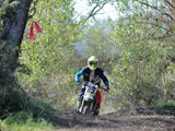 MDV_5552