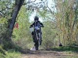 MDV_5556