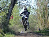 MDV_5557
