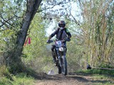 MDV_5558