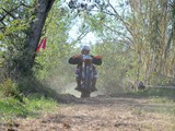 MDV_5559
