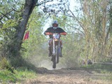 MDV_5560