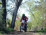 MDV_5565
