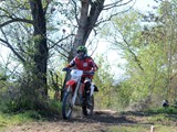 MDV_5566