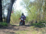 MDV_5572