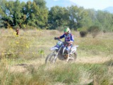 MDV_5584