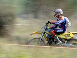MDV_5590