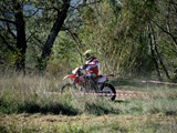 UFC_3384