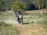 UFC_3453